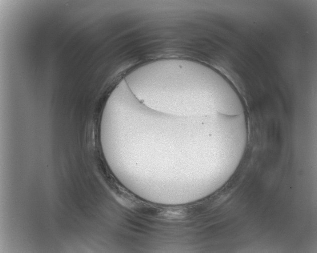 X0000063500157200602032026