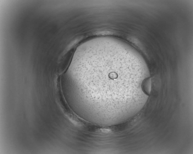 X0000063500159200602032026