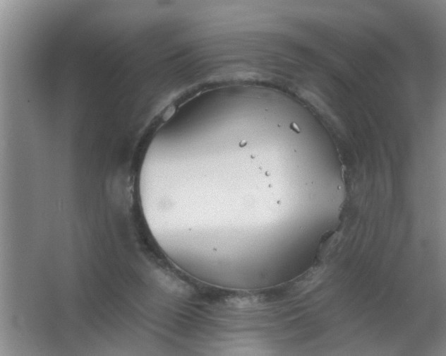 X0000063500160200602032026