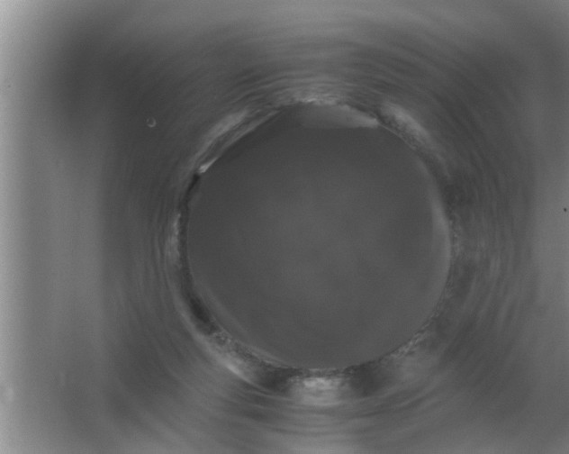 X0000063500163200602032026