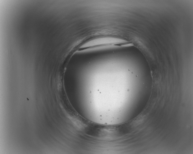 X0000063500164200602032027