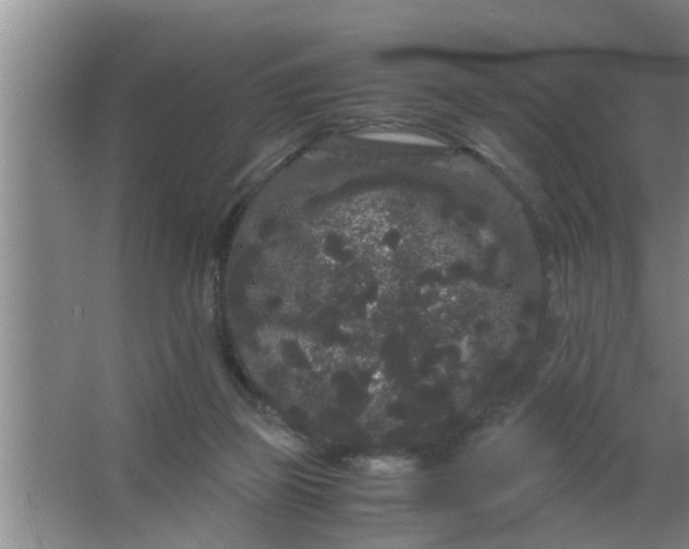 X0000063500165200602032027