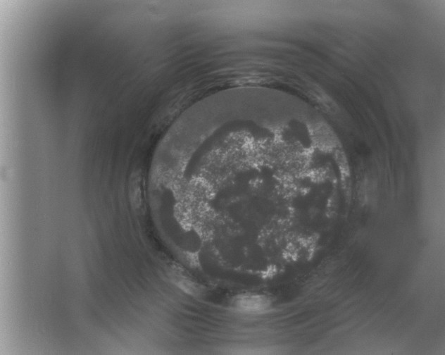 X0000063500169200602032027