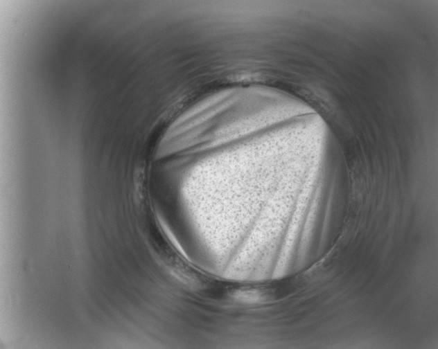 X0000063500171200602032027