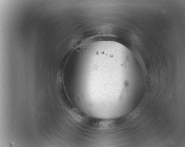 X0000063500172200602032027