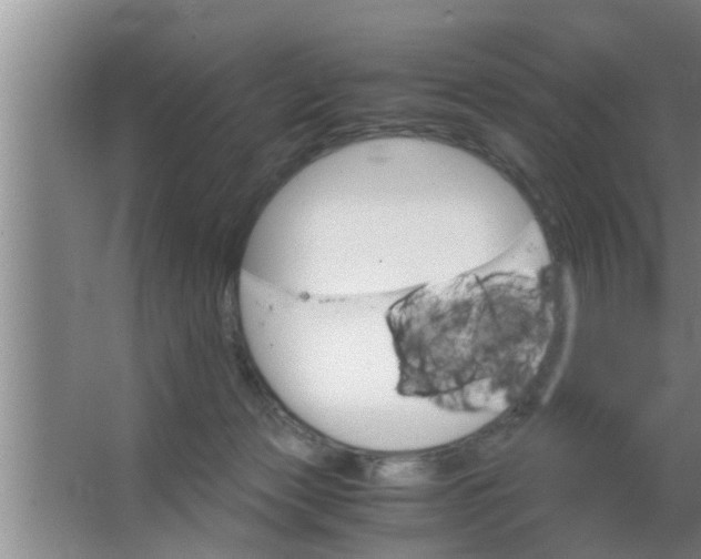 X0000063500173200602032027