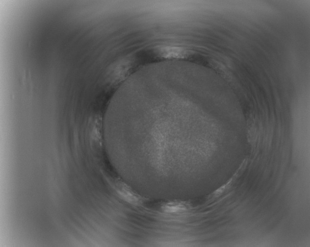 X0000063500175200602032027