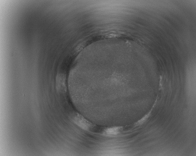 X0000063500178200602032027