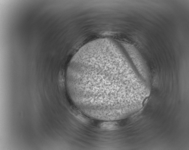 X0000063500179200602032027