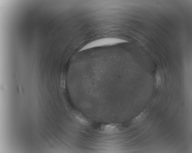 X0000063500180200602032027