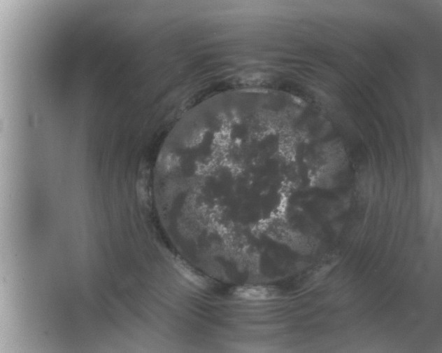 X0000063500181200602032027