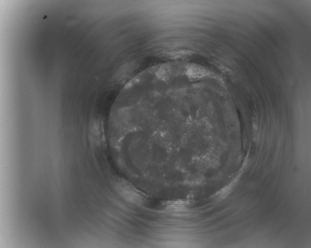 X0000063500182200602032027