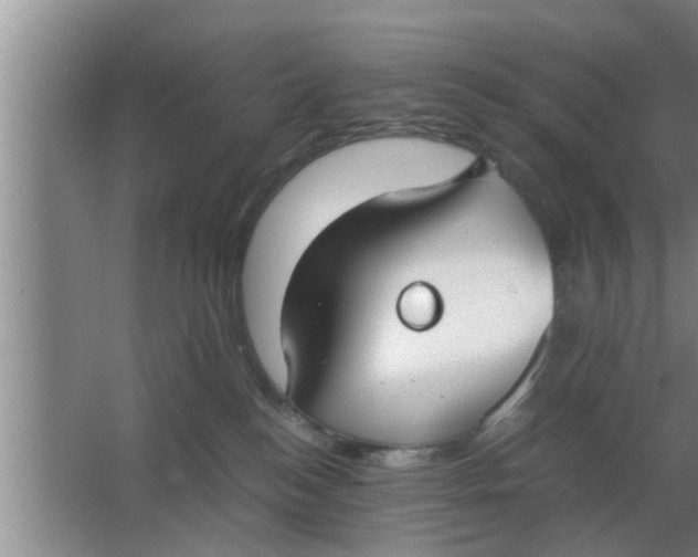 X0000063500184200602032027