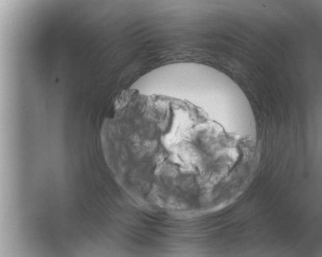 X0000063500185200602032027