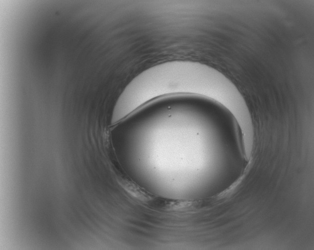 X0000063500186200602032027