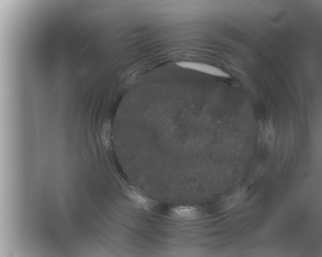 X0000063500189200602032027