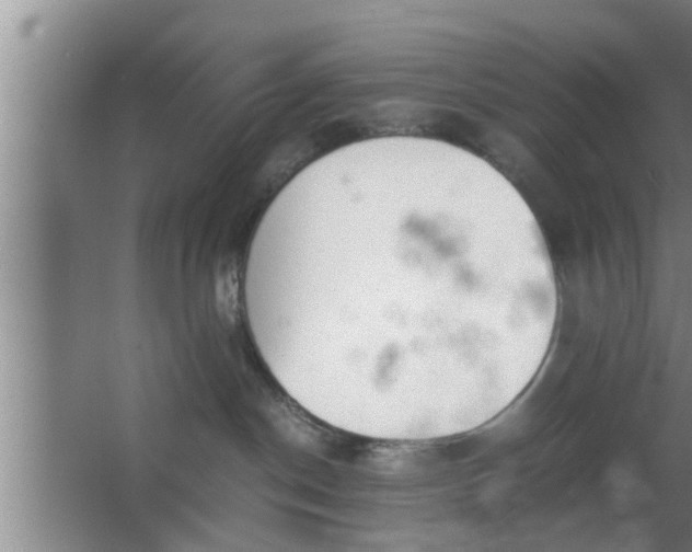 X0000063500190200602032027