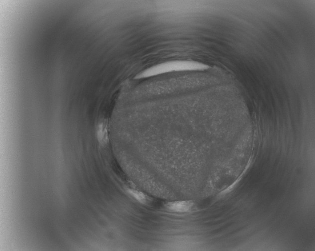 X0000063500191200602032027