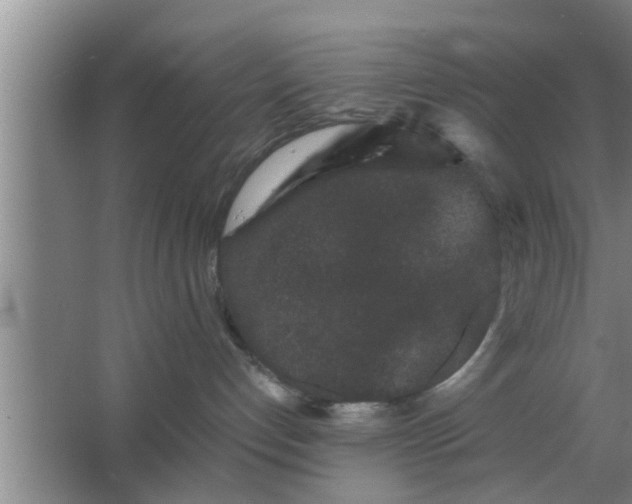 X0000063500192200602032027