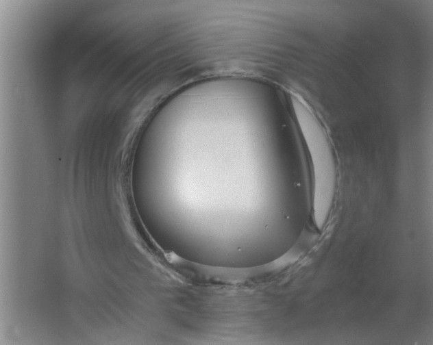 X0000063500193200602032026