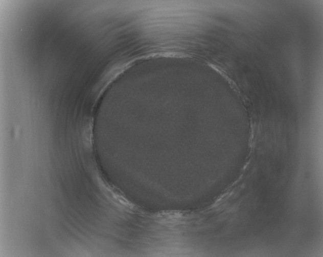 X0000063500194200602032026