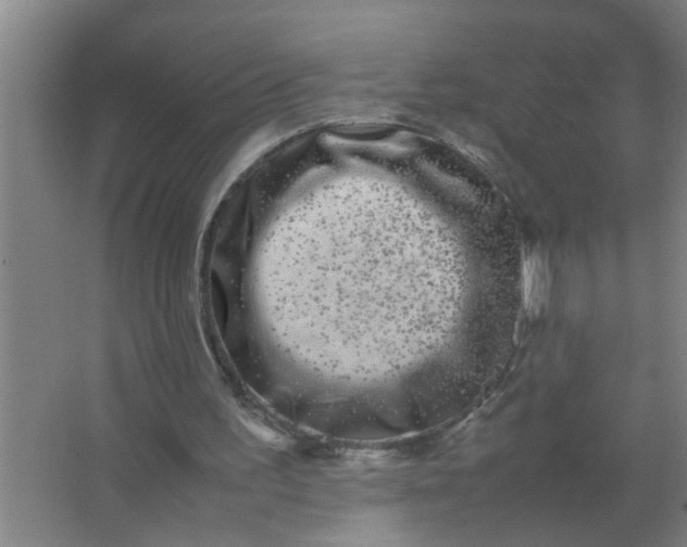 X0000063500195200602032026