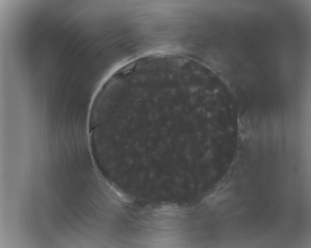 X0000063500196200602032026