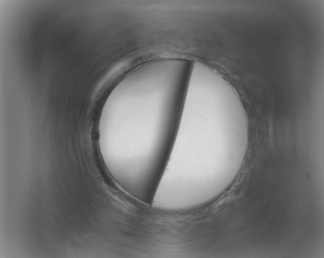 X0000063500197200602032026