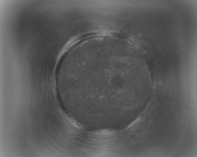 X0000063500198200602032026