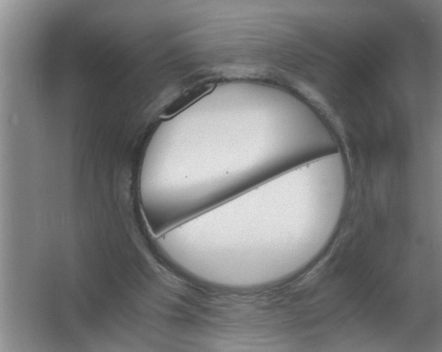 X0000063500201200602032026