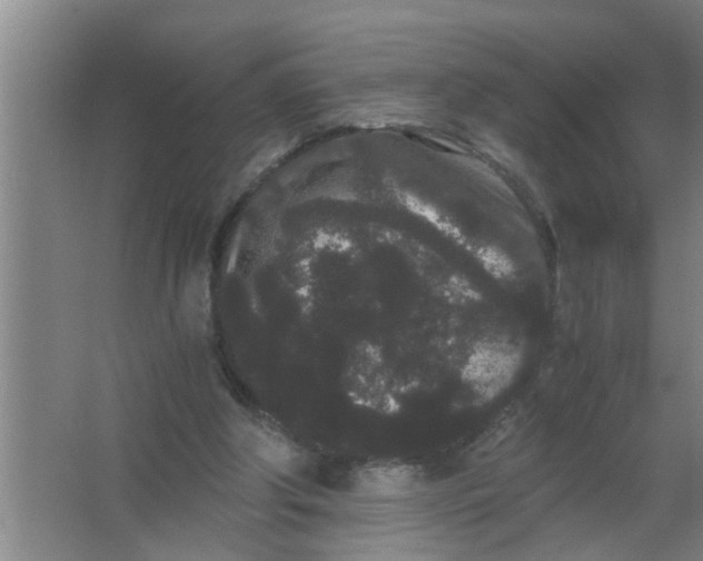 X0000063500202200602032026