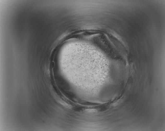 X0000063500203200602032026