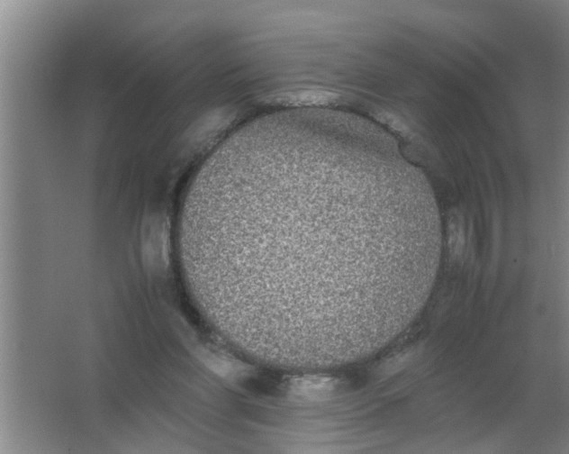 X0000063500206200602032026