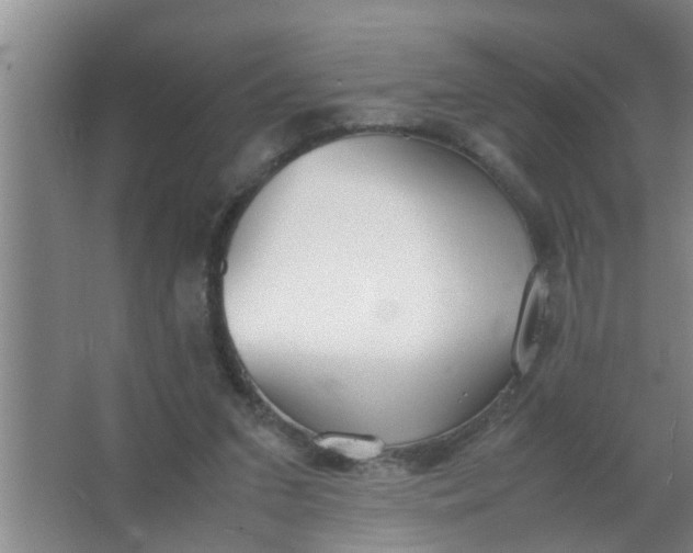 X0000063500207200602032026