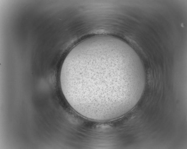 X0000063500208200602032026