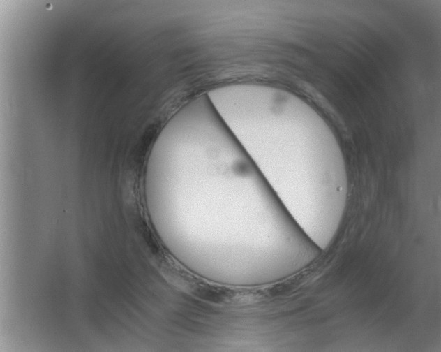 X0000063500209200602032026