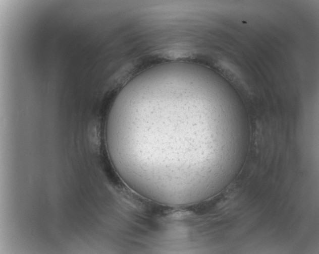 X0000063500210200602032026