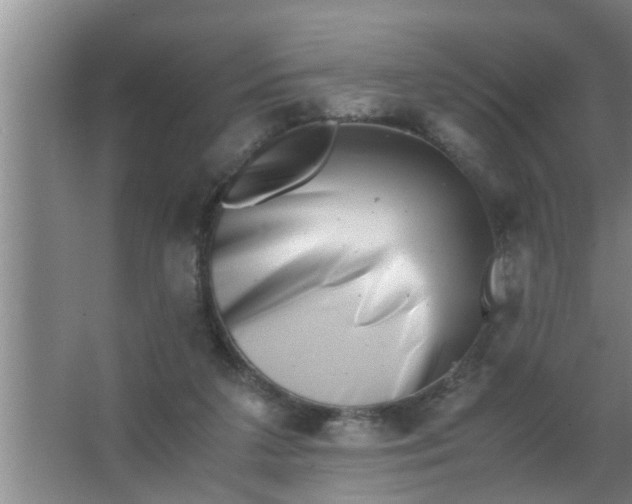 X0000063500211200602032026