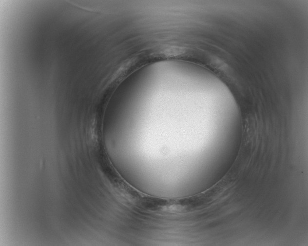 X0000063500212200602032026