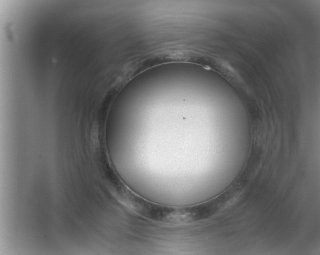 X0000063500213200602032026