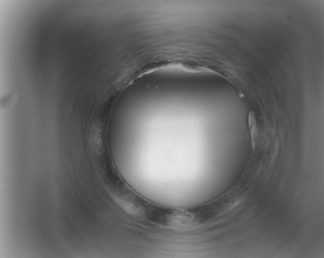 X0000063500215200602032026