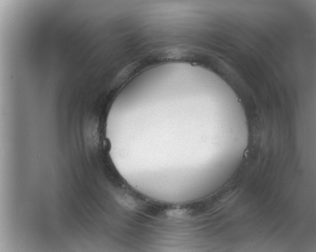 X0000063500216200602032026