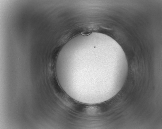 X0000063500218200602032026