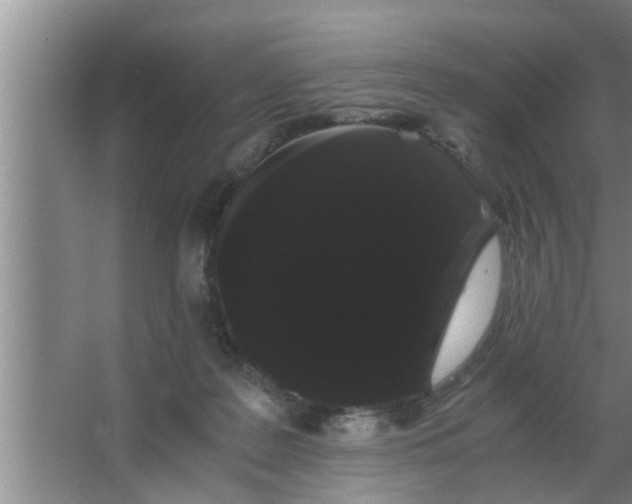 X0000063500219200602032026