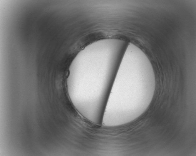 X0000063500221200602032026