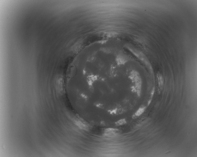 X0000063500222200602032026