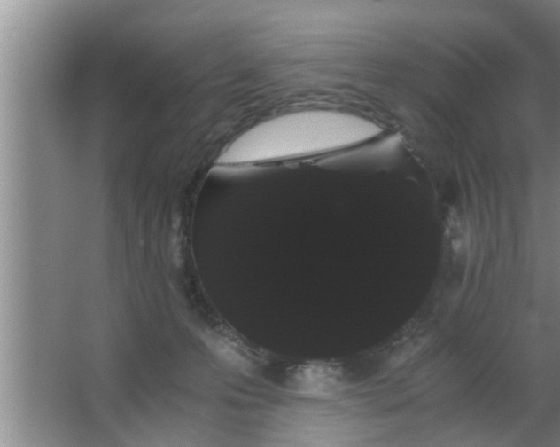 X0000063500223200602032026