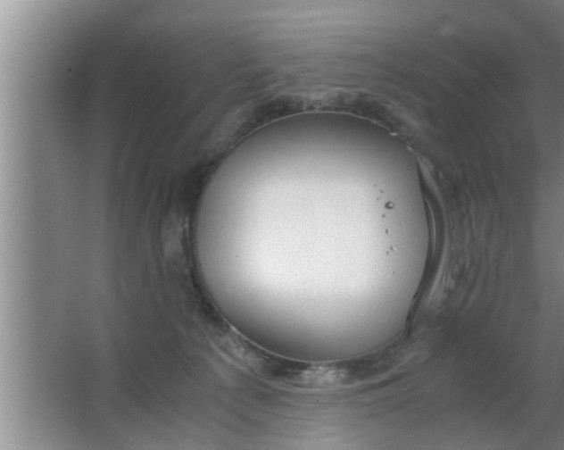 X0000063500225200602032026