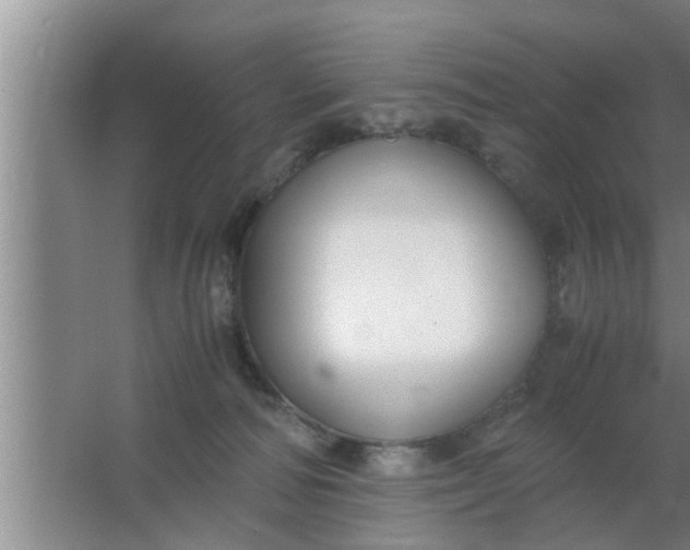 X0000063500226200602032026