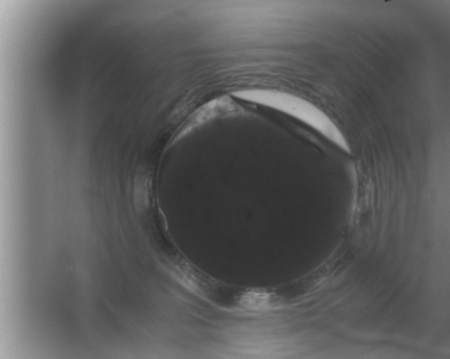 X0000063500227200602032026